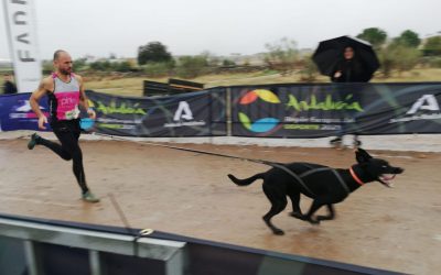 Campeonato Mushing Andalucía. Open de El Guijo